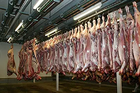 boucher abattoir