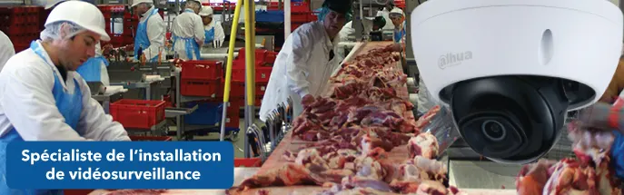 vidéosurveillance abattoir